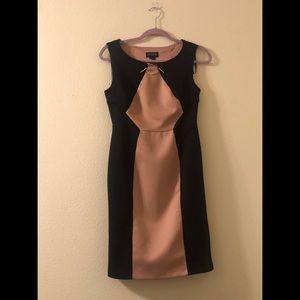 Pink and Black Work Dress with Gold Chain - 6